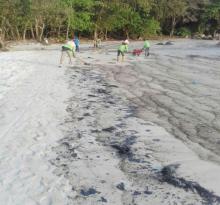 Kawasan Wisata Lagoi Kembali Ditumpahi Minyak Hitam, Iskindo Minta Pemerintah Bertindak